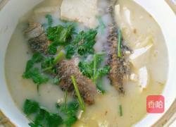 鲫鱼豆腐汤的做法图解10