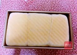 蔓越莓土司的做法图解15