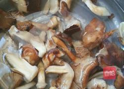 蘑菇炖鸡块的做法图解2