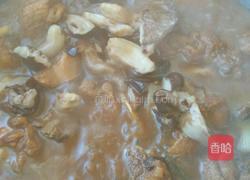 蘑菇炖鸡块的做法图解9