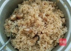 鸡肉蘑菇焖饭的做法图解14