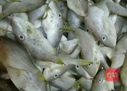 红烧马面鱼的做法图解1