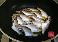 红烧马面鱼的做法图解4
