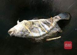 烧石斑鱼的做法图解4