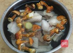 姬松茸炖鸡的做法图解3