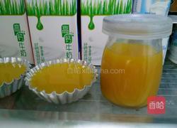果汁果冻的做法图解7