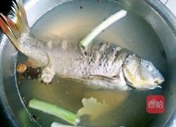 跳水鱼的做法图解5