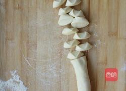 猪肉水萝卜饺子的做法图解7