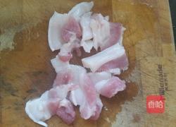 干锅茶树菇的做法图解3