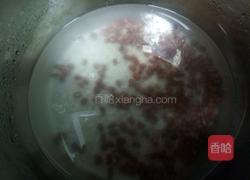 蒲公英红豆糯米粥的做法图解6
