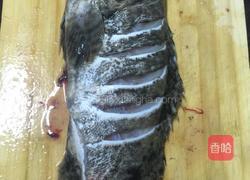 葱油石斑鱼的做法图解2