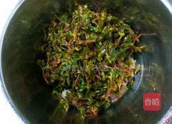 凉拌马齿菜的做法图解5