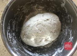 黑豆浆紫甘蓝肉龙的做法图解6