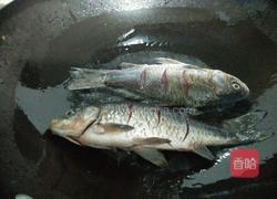 蕃茄鲫鱼汤的做法图解3