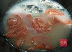 蕃茄鲫鱼汤的做法图解5