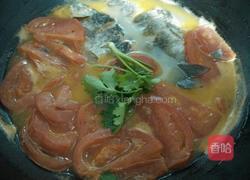 蕃茄鲫鱼汤的做法图解6