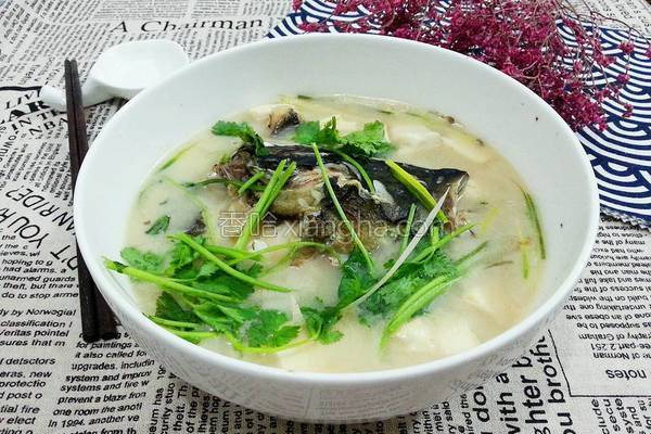 花鲢鱼头豆腐汤