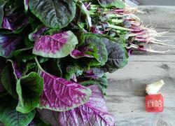 炒血皮菜的做法图解1