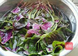 炒血皮菜的做法图解2