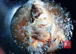 家炖白鲢鱼的做法图解4