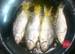 酥焖鲫鱼的做法图解4