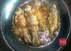 酥焖鲫鱼的做法图解5