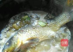 鲤鱼醉酒的做法图解5