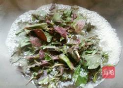 蘇子葉咸菜的做法圖解2