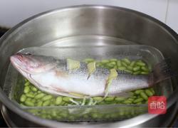 鲈鱼蒸毛豆的做法图解5