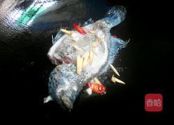 农家炖鱼的做法图解2