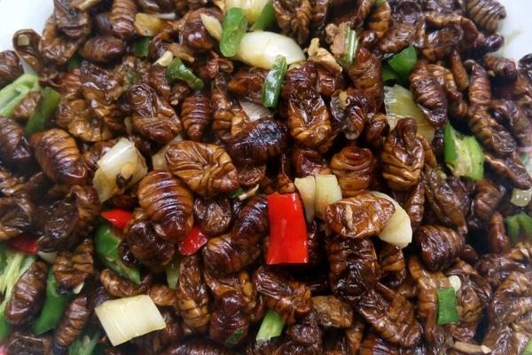 炒蚕蛹的精选做法