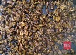 尖椒炒蚕蛹的做法图解1