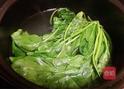 菠菜拌粉条的做法图解4