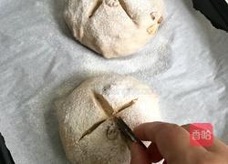 改良版核桃欧包的做法图解7