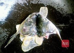 酸汤鱼片的做法图解8