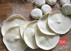 番茄饺子的做法图解9