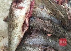 焖黑鱼的做法图解1