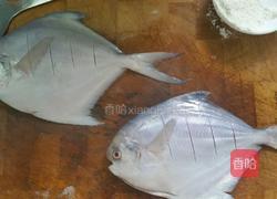 干烧鳊鱼的做法图解2