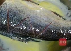 红烧鲢鱼的做法图解4