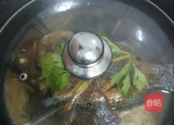 半煎煮罗非鱼的做法图解4