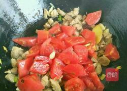 西红柿炖牛肉的做法图解5