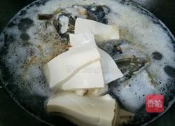 鲢鱼头豆腐汤的做法图解8