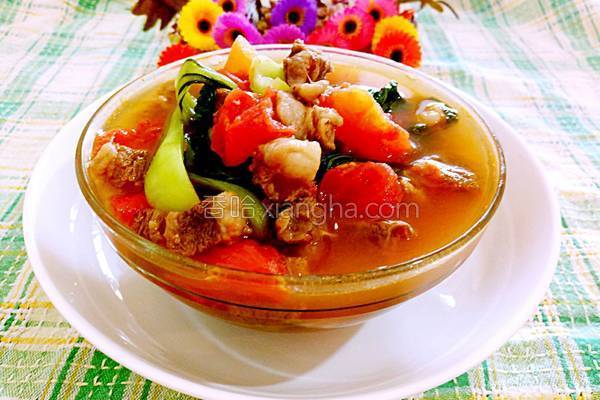 西红柿牛腩杂蔬汤