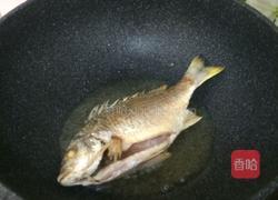 酱油水鱼的做法图解4