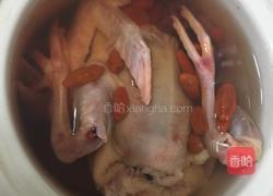 清炖乳鸽的做法图解4