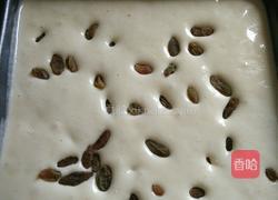葡萄干蛋糕的做法图解8