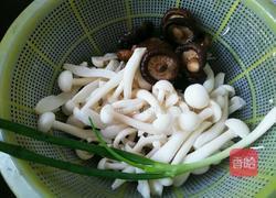 菌菇鸡汤的做法图解2