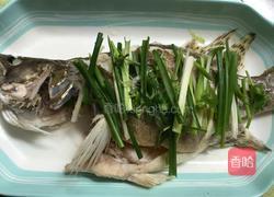 清蒸桂鱼的做法图解8