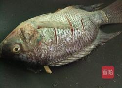 水煮罗非鱼的做法图解4