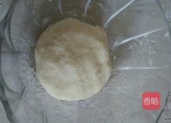 彩椒双色甘蓝卷饼的做法图解1